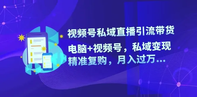 实战教程从零开始打造私域流量，月入更多！电脑 微信视频号 直播带货全攻略-网赚项目