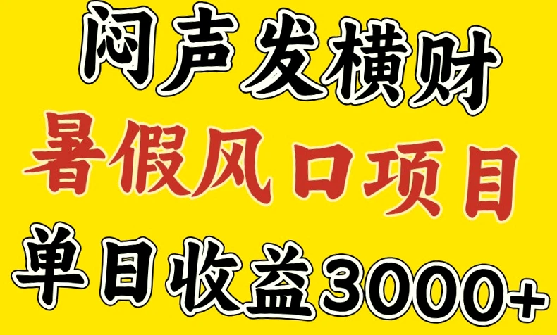 暑假风口项目揭秘：30天赚了7.5W，每日* 收入的秘密！-网赚项目