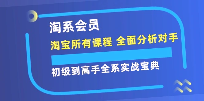 淘系会员实战宝典：全方位掌握技巧，轻松打造爆款，实现盈利！-网赚项目