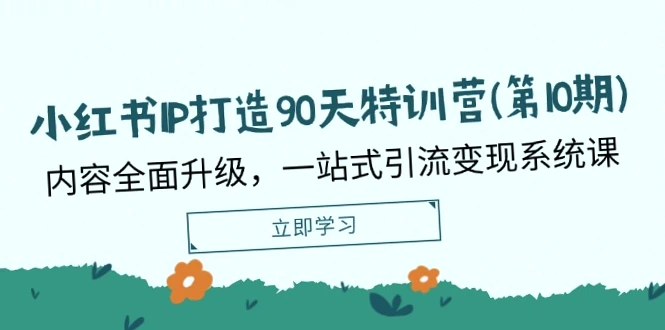 90天小红书IP特训营：内容全面升级，一站式引导赚钱系统课，为什麽要做小红书和视频号？新手扶持！-网赚项目