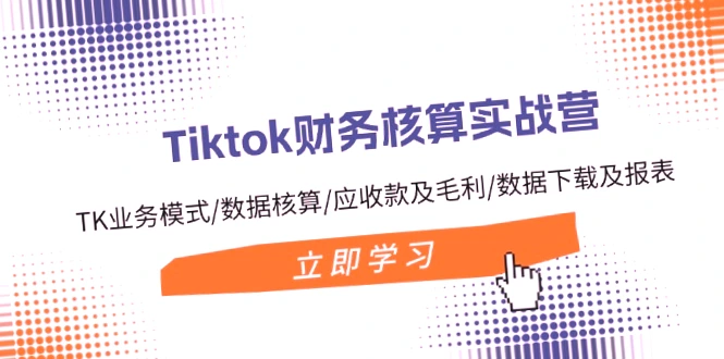 TikTok财务核算实战营：业务模式解析、数据核算技巧及报表模板详解-网赚项目