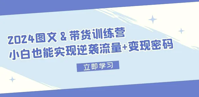 2024图文短视频带货实战训练营：普通人家庭副业的赚钱指南-网赚项目