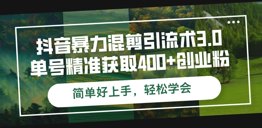 抖音混剪引流术3.0：实战技巧与风险规避   如何打造高质量引流效果-网赚项目