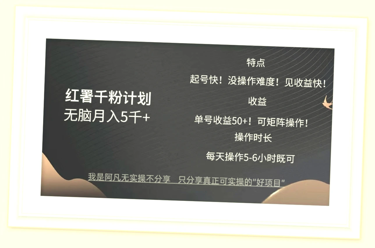 红薯千粉：轻松日进斗金 月均收入过*千，人人都能上手的项目指南！-网赚项目