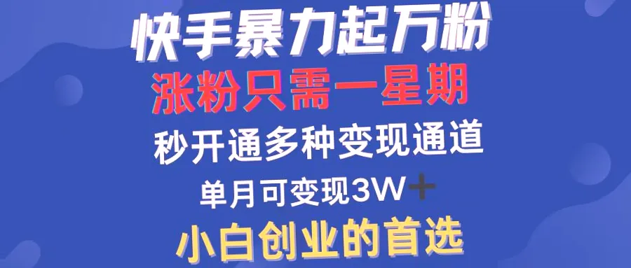 快速起万粉！快手实战教程：仅需一周，多平台适用，月收入*万！-网赚项目