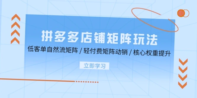 拼多多矩阵动销策略实战指南：掌握低客单自然流与轻付费矩阵动销玩法-网赚项目