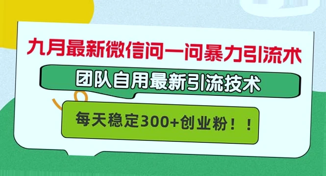 三步掌握微信问一问问一问精准引流秘籍：300 粉丝/天，月收入*万！-网赚项目