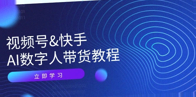 实战技巧视频号快手AI数字人带货全攻略：实现高效营销的必备指南！-网赚项目