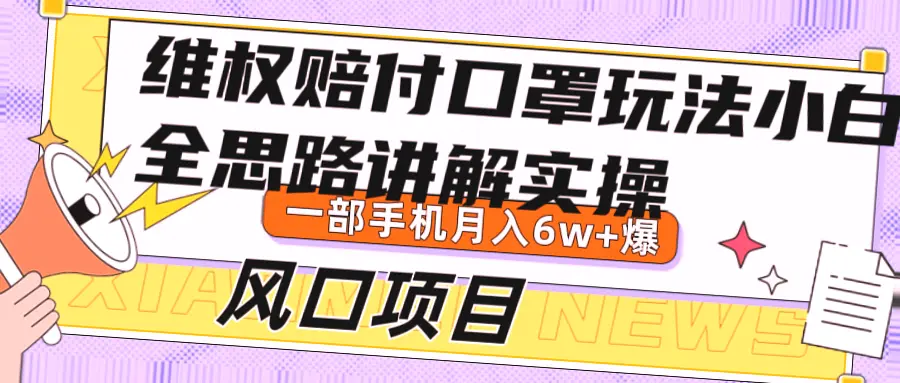 小白必看！月入*万 揭秘维权赔付口罩风口项目实操指南-网赚项目