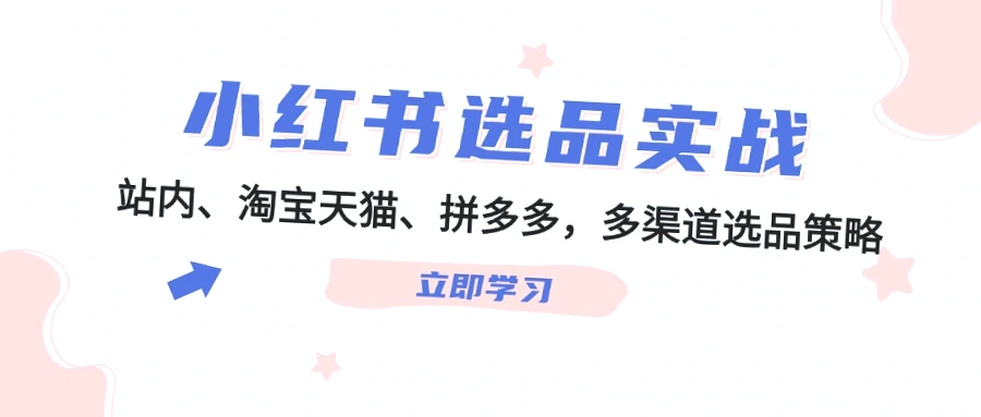 小红书电商运营全攻略：多渠道选品与爆款打造实战指南-网赚项目