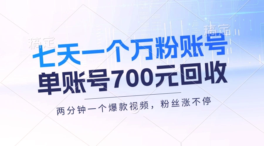 快速收入*万个粉丝：新手入门指南，单号售价高达800元/周，教你两周内实现月收入**元 ！-网赚项目