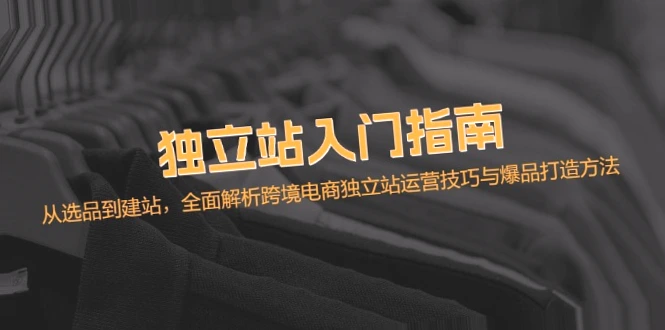 跨境电商独立站运营技巧全攻略：从选品到建站，实战爆品必备知识-网赚项目