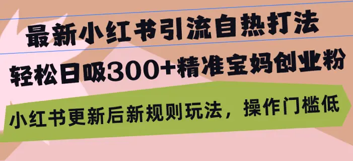 两个月实操经验分享：日引*月变现*位数的小红书引流兼职粉秘籍！,-网赚项目