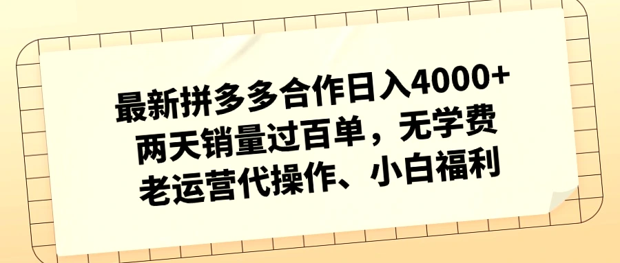 拼多多携手新锐运营，无需投资，轻松日进*元！-网赚项目