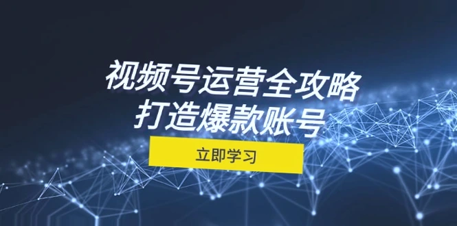 视频号运营全方位指南：实现从定位到带货的完整流程，掌握核心秘诀，轻松打造爆款，助你迅速突破*万粉丝！-网赚项目