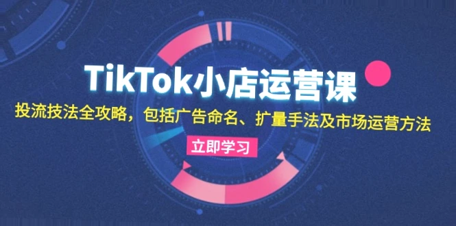 TikTok小店运营课：全面掌握投流技法，从广告命名到数据分析-网赚项目