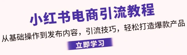 小红书电商运营全攻略：快速引流实战指南-网赚项目