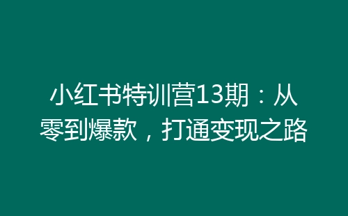 小红书特训营13期：从零到爆款，打通变现之路-网赚项目