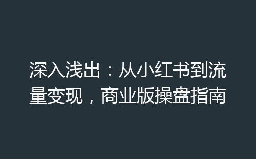 深入浅出：从小红书到流量变现，商业版操盘指南-网赚项目