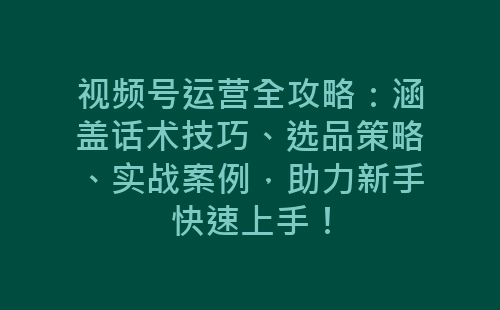 视频号运营全攻略：涵盖话术技巧、选品策略、实战案例，助力新手快速上手！-网赚项目