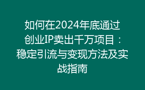 如何在2024年底通过创业IP卖出千万项目：稳定引流与变现方法及实战指南-网赚项目