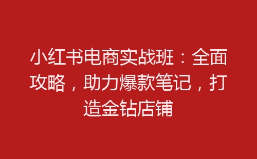 小红书电商实战班：全面攻略，助力爆款笔记，打造金钻店铺-网赚项目