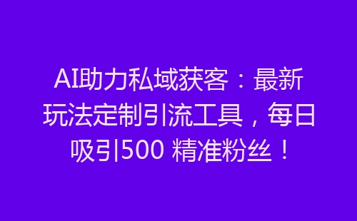 AI助力私域获客：最新玩法定制引流工具，每日吸引500 精准粉丝！-网赚项目