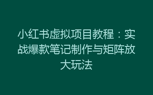 小红书虚拟项目教程：实战爆款笔记制作与矩阵放大玩法-网赚项目