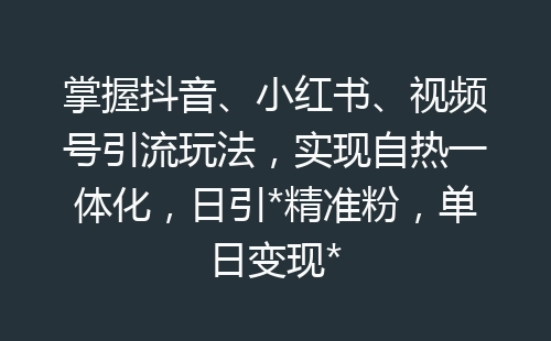 掌握抖音、小红书、视频号引流玩法，实现自热一体化，日引*精准粉，单日变现*-网赚项目