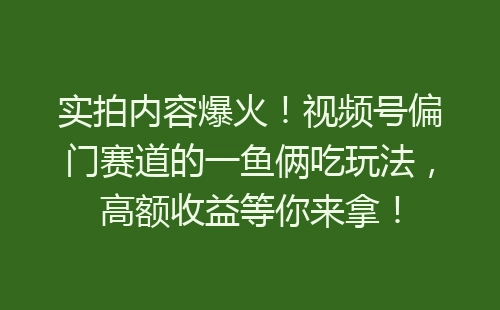 实拍内容爆火！视频号偏门赛道的一鱼俩吃玩法，高额收益等你来拿！-网赚项目