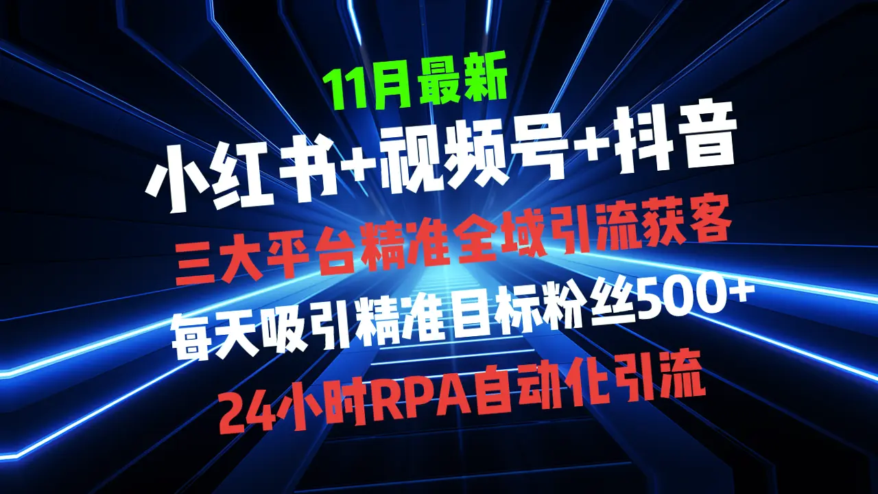 揭秘全域多平台引流私域打法：小红书、视频号、抖音全自动化获客技巧-网赚项目