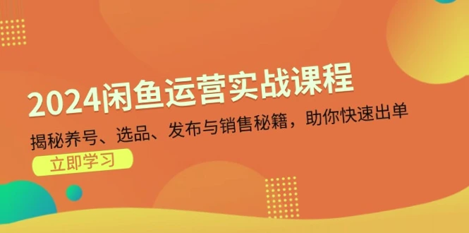 2024年闲鱼运营实战课程：掌握养号、选品、发布与销售技巧，快速出单！-网赚项目