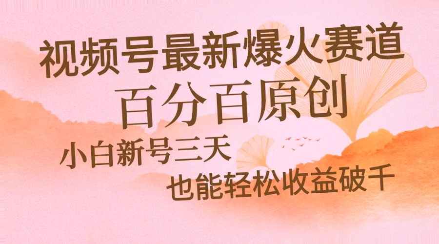 2024年小众赛道：深度解析微信视频号的玩法与盈利之道-网赚项目