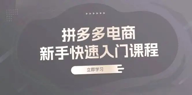 拼多多电商入门全攻略：从基础知识到实战操作，助你轻松掌握电商运营技巧-网赚项目