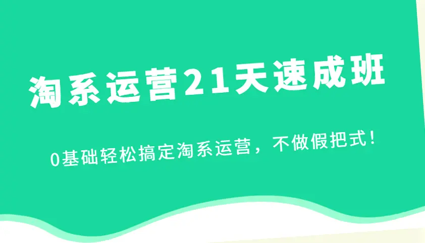 淘系运营21天速成班：0基础快速掌握淘系运营技巧与实战案例（附详细课程目录）-网赚项目