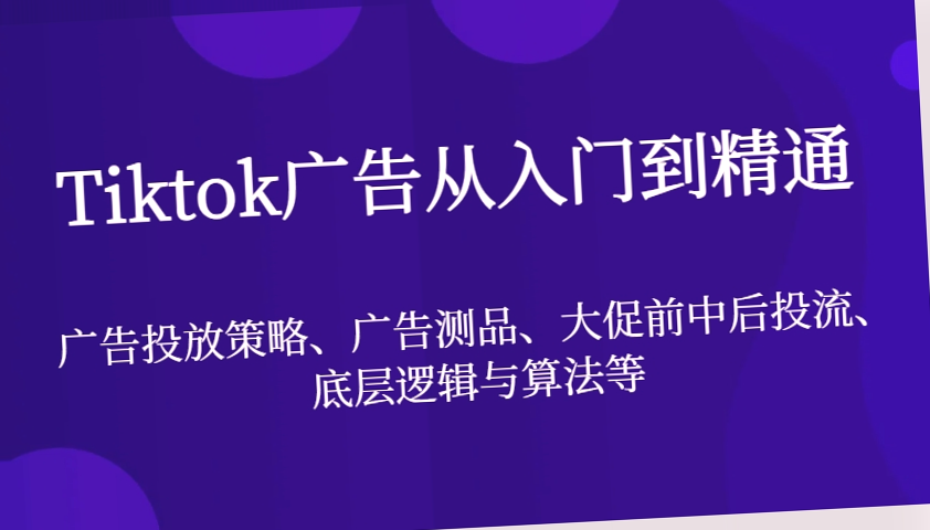 Tiktok广告投放策略指南-网赚项目