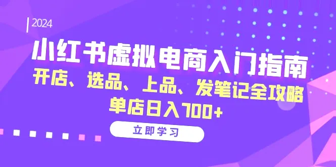 小红书虚拟电商入门指南：低成本高回报，轻松打造爆款-网赚项目