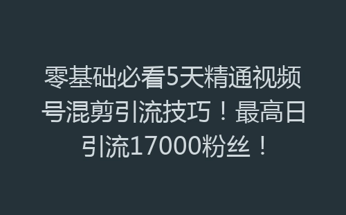 零基础必看5天精通视频号混剪引流技巧！最高日引流17000粉丝！-网赚项目