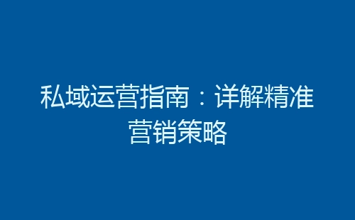 私域运营指南：详解精准营销策略-网赚项目