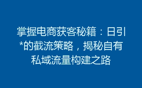 掌握电商获客秘籍：日引*的截流策略，揭秘自有私域流量构建之路-网赚项目