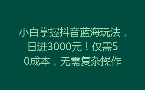 小白掌握抖音蓝海玩法，日进3000元！仅需50成本，无需复杂操作-网赚项目