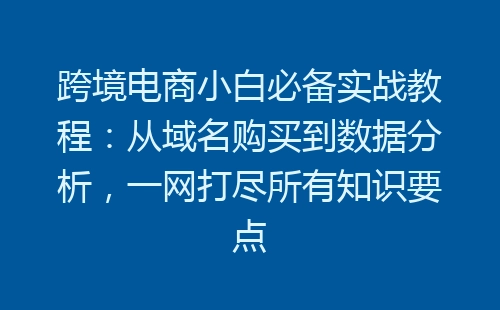 跨境电商小白必备实战教程：从域名购买到数据分析，一网打尽所有知识要点-网赚项目