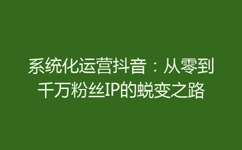 系统化运营抖音：从零到千万粉丝IP的蜕变之路-网赚项目